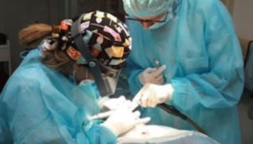 Cirugía Periodontal